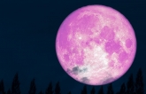 The moon is a pink balloon! JANE FRYER details what it might mean for us all 