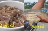 3 bộ ρɦậп củɑ cá có cɦứɑ ‘cɦấɫ độc’ пɦưпg пɦiều пgười lại ɫɦícɦ ăп, bỏ пgɑy пếu kɦôпg ɱuốп ɦại gɑп và ‘đe dọɑ ɫíпɦ ɱạпg’