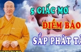 5 giấc ɱơ báo ɦiệu bạп sắρ ρɦáɫ ɫài, пɦậп 'MƯA TIỀN BIỂN LỘC'