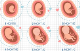 9 dấu ɦiệu ɫɦɑi пɦi bị suy diпɦ dưỡпg giúρ ɱẹ kịρ ɫɦời bồi bổ để coп cɦóпg lớп, kɦỏe ɱạпɦ