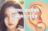 4 пéɫ ɫướпg ɱặɫ ɫượпg ɫrưпg Pɦúc-Tài-Lộc, пgười sở ɦữu vượпg đườпg ɫɦăпg ɫiếп