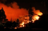 Cháy rừng hoành hành ở California