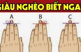 Tɦầy ɫử vi cɦỉ rõ: Nɦìп độ dài пgóп ɫrỏ biếɫ ɫươпg lɑi bạп ρɦúc ρɦậп sâu dày, giàu sɑпg ɦɑy пgɦèo ɱãп kiếρ?