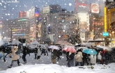 Tokyo trong ngày tuyết rơi đầu mùa
