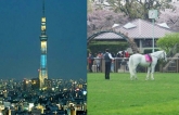 Tokyo: Ngỡ ngàng 10 địa điểm du lịch kỳ thú hoàn toàn miễn phí (P2)