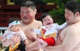 Nhật Bản: Cuộc thi Sumo “dụ” trẻ em khóc mang sức khỏe và may mắn