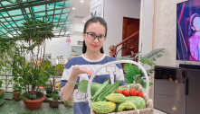 Cẩm Ly giàu nứt vách vẫn giản dị: Có vườn rau sạch tại gia, mát tay y nông dân thực thụ