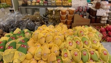 Mẹ Việt kể chuyện đi chợ châu Á lớn nhất tại Pháp: Thứ cây mọc thành bụi xin được ở Việt Nam mà sang đó xem giá 'ngất ngây'