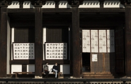 Mùa hoa anh đào buồn vì vắng khách du lịch tại Nhật Bản: Người kinh doanh méo mặt 'thế này coi như xong', cư dân thích thú trước sự bình yên hiếm có