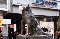 Tokyo kêu gọi người dân ngừng đeo khẩu trang cho tượng chó Hachiko