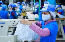 Nhật Bản trở thành thị trường nhập khẩu khẩu trang Việt Nam lớn nhất