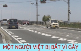 Một người Việt bị bắt vì gây tai nạn và không có bằng lái