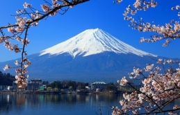 Du khách có thể được giảm 50% chi phí khi đến Nhật Bản