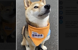 Thành phố ở Nhật Bản tuyển dụng 100 đại sứ chó để quảng bá điều tra dân số