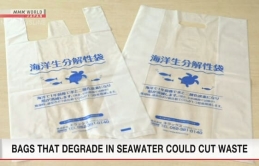 Nhật Bản phát triển loại túi nylon có thể phân hủy được trong nước biển