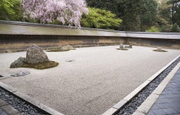 Thiền trong văn hóa Nhật: Cái nhìn từ vườn đá, Haiku và trà đạo.