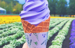 Những vị kem nhất định nên thử khi đến Hokkaido