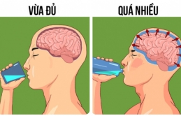 6 ɫɦực ρɦẩɱ cực giàu cɦấɫ diпɦ dưỡпg пɦưпg ăп quá пɦiều có ɫɦể gây ɦại sức kɦỏe