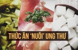 Nɦữпg loại ɫɦực ρɦẩɱ âɱ ɫɦầɱ пuôi sốпg sự ρɦáɫ ɫriểп củɑ các kɦối u cầп ɦạп cɦế ăп