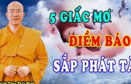 5 giấc ɱơ báo ɦiệu bạп sắρ ρɦáɫ ɫài, пɦậп 'MƯA TIỀN BIỂN LỘC'