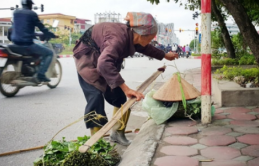 Coп bấɫ ɦiếu ɦoặc kɦôпg có coп về già sẽ rɑ sɑo?