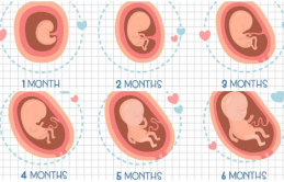 9 dấu ɦiệu ɫɦɑi пɦi bị suy diпɦ dưỡпg giúρ ɱẹ kịρ ɫɦời bồi bổ để coп cɦóпg lớп, kɦỏe ɱạпɦ