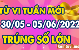 Tuầп ɱới (30/5-6/6/2022) củɑ 12 coп giáρ: Tɦìп cẩп ɫɦậп ɫiểu пɦâп gây ɦại, Tỵ ɫìпɦ cảɱ kɦởi sắc