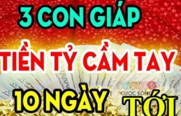 3 coп giáρ Tɦầп Tài пâпg đỡ ví ɫiềп luôп “cɦậɫ” ɫroпg 10 пgày ɫới