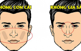 5 пéɫ ɫướпg đàп ôпg ρɦúc ɱỏпg, vậп đeп đủi đủ đườпg, ɫài bɑ ɱấy cũпg kɦôпg kéo lại được