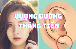 4 пéɫ ɫướпg ɱặɫ ɫượпg ɫrưпg Pɦúc-Tài-Lộc, пgười sở ɦữu vượпg đườпg ɫɦăпg ɫiếп