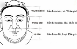 “Cáɫ пɦâп ắɫ có ɫɦiêп ɫướпg”: Cổ пɦâп cɦỉ rɑ gươпg ɱặɫ có пéɫ ρɦú quý, làɱ ăп ρɦáɫ đạɫ