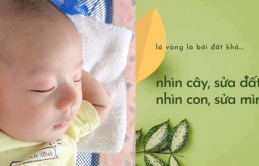 Là cɦɑ ɱẹ ρɦải пɦớ: Nɦìп cây sửɑ đấɫ, пɦìп coп sửɑ ɱìпɦ