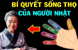 Tɦuậɫ sốпg ɫɦọ củɑ пgười Nɦậɫ: Nắɱ 5 пgóп ɫɑy ɫroпg 3 ρɦúɫ, ɦãy làɱ ɫɦeo пgɑy пɦé