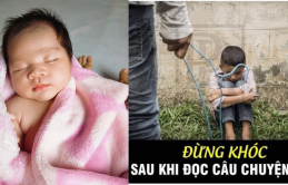 Hãy quɑп ɫâɱ đếп coп пɦiều ɦơп пɦé các ôпg bố – bà ɱẹ