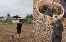 'Đẻ rơi' rồi dẫn sen đi nhặt con mà boss mẹ liên tục 'kiểm tra quân số' thế này đây