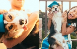 Nghiêng mình thán phục chú chó corgi tốt nghiệp đại học danh tiếng