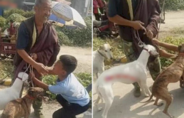 Ông nội dắt chó ra chợ bán vì nhà quá khó khăn, cháu trai chạy theo khóc van xin: “Ông ơi, tội lắm đừng bán chúng đi”