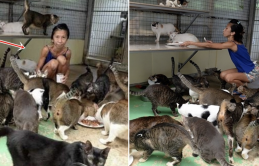 Nhịn ăn để nuôi 150 con mèo, người phụ nữ bị suy dinh dưỡng đến mức báo động: “Cô không hề hối hận vì điều này”