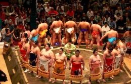 Đi xem Sumo ở Tokyo