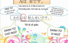 Nguyên tắc căn bản trong cấu trúc câu của tiếng Nhật