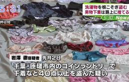 Ăn cắp đồ lót, vấn nạn ở Nhật