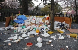 Các điểm ngắm hoa anh đào hàng đầu Nhật Bản “ngập” trong rác sau các buổi picnic hanami