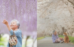 Câu chuyện thổn thức phía sau bộ ảnh chụp bà và chú chó dưới cây sakura của nhiếp ảnh gia Nhật Bản