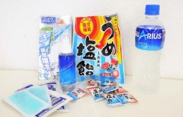 5 sản phẩm phù hợp với mùa hè nóng bức khi du lịch Nhật Bản!