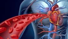 Cảnh báo thủ phạm đáng sợ có thể khiến bạn tử vong trong tích tắc khi đi máy bay đường dài