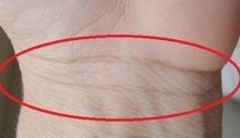 Ngó xᴜống cổ tay, biết ngay vận mệnh sang hèn: Nếᴜ số 4 thì xin chúc mừng