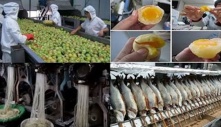 CẢNH BÁO: 10 thực phẩm “made in China” được các chuyên gia Mỹ khuyến cáo nên tránh xa ngay tức khắc!