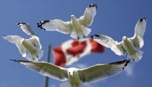 Sự khác biệt to lớn văn hoá giữa Việt Nam và Canada : Người Việt có biết ?