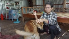 Chú chó nổi tiếng khắp miền Tây vì nói được tiếng người