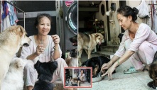 5 năm cưu mang những bé chó bệnh tật, người phụ nữ U60 đã cạn kiệt nước mắt: “Dù không khóc nhưng tim tôi thắt lại khi nhớ về các con đã mất”